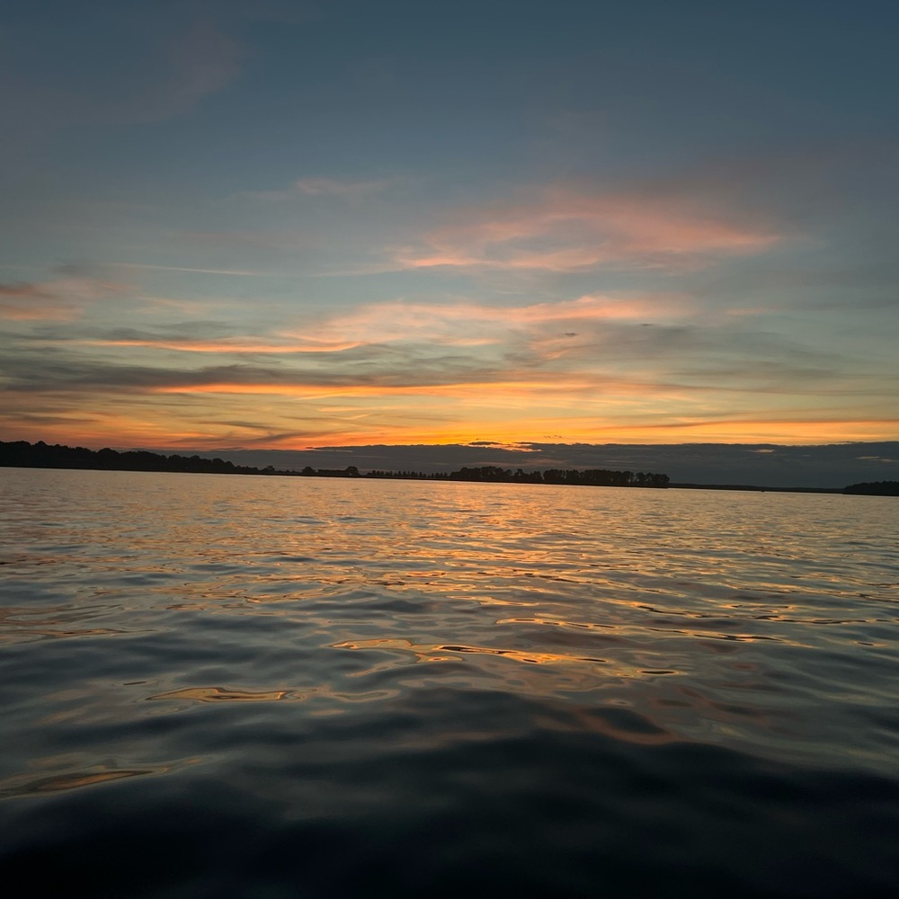 Meet your Posher, Shelby